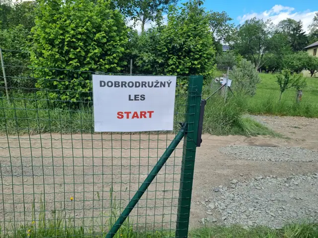 Dětský pohádkový les 2026 – fotka 50 z 193