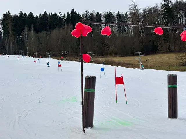 VI. ročník sokolských lyžařských závodů 2026 – fotka 278 z 610