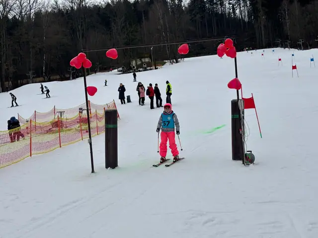 VI. ročník sokolských lyžařských závodů 2026 – fotka 438 z 610